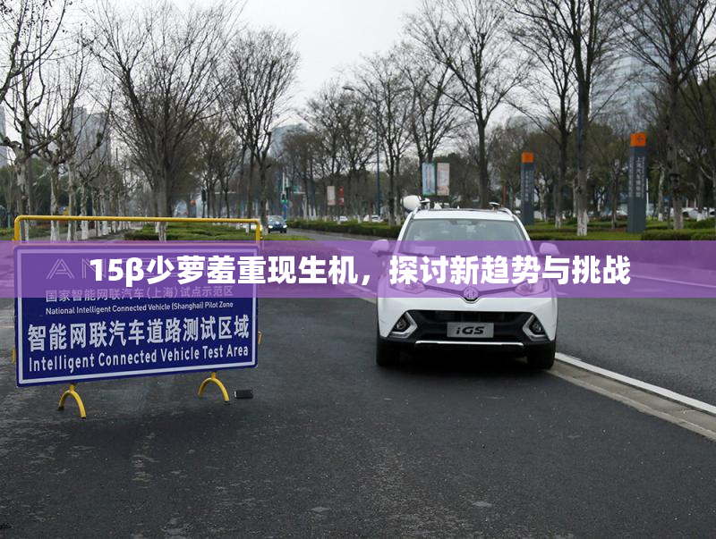 15β少萝羞重现生机，探讨新趋势与挑战