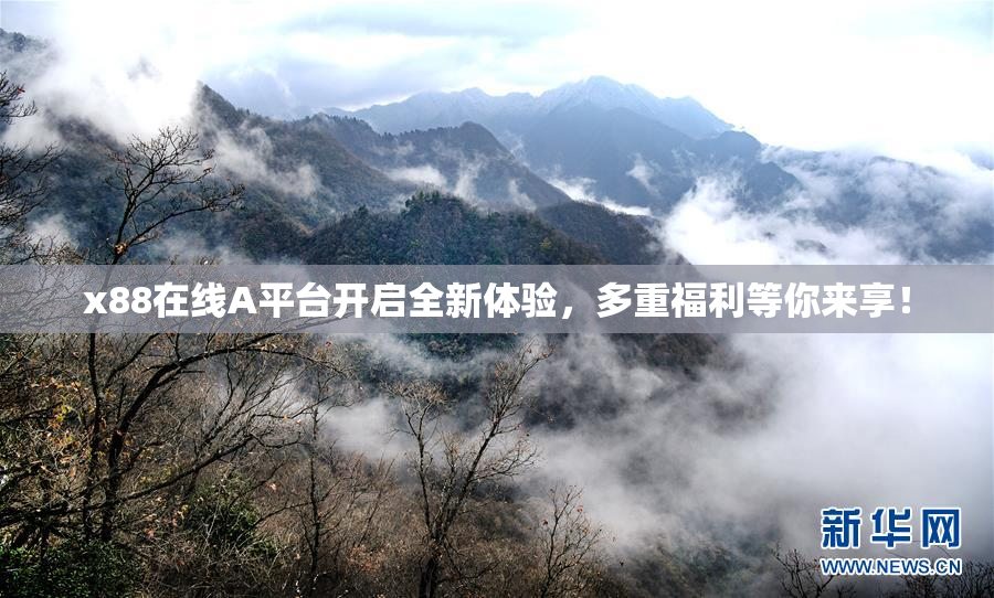 x88在线A平台开启全新体验，多重福利等你来享！