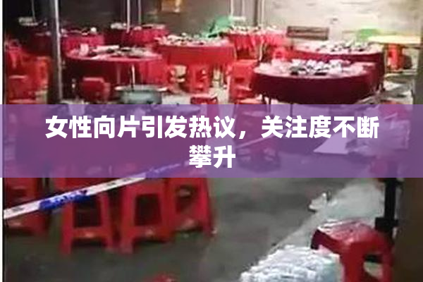 女性向片引发热议，关注度不断攀升