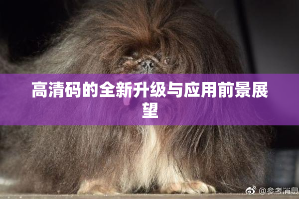 高清码的全新升级与应用前景展望