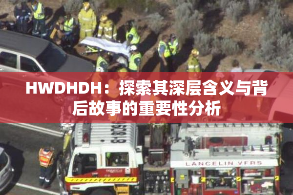 HWDHDH：探索其深层含义与背后故事的重要性分析