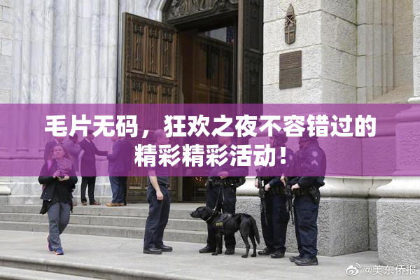 毛片无码，狂欢之夜不容错过的精彩精彩活动！