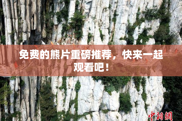 免费的熊片重磅推荐，快来一起观看吧！