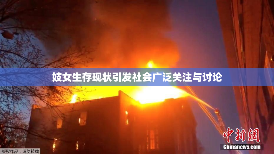 妓女生存现状引发社会广泛关注与讨论