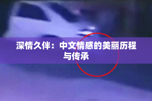 深情久伴：中文情感的美丽历程与传承