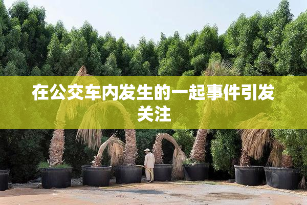 在公交车内发生的一起事件引发关注