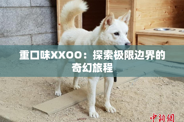 重口味XXOO：探索极限边界的奇幻旅程