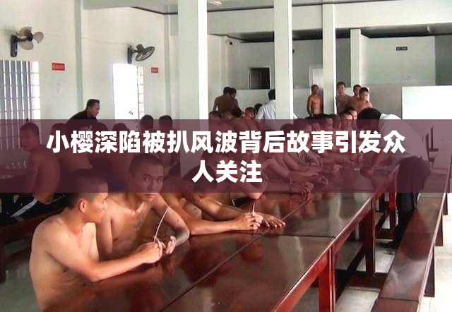 小樱深陷被扒风波背后故事引发众人关注