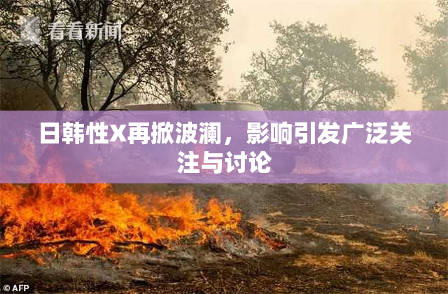 日韩性X再掀波澜，影响引发广泛关注与讨论