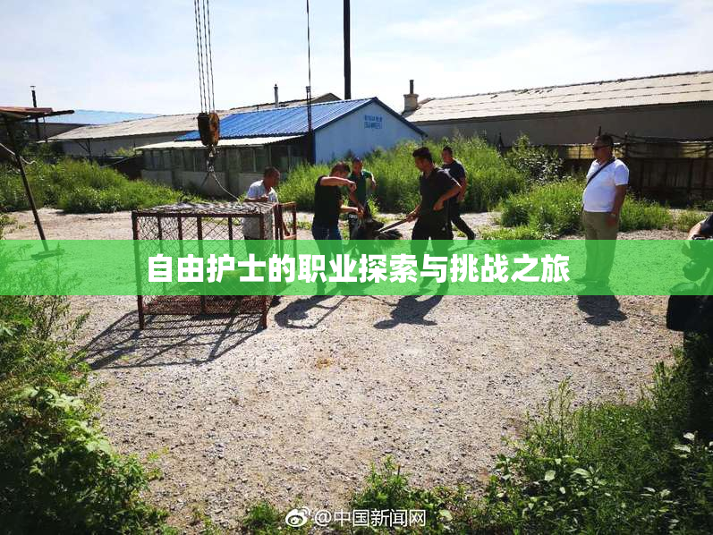 自由护士的职业探索与挑战之旅