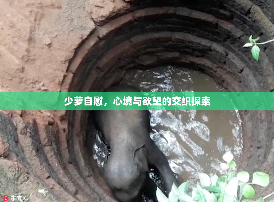 少萝自慰，心境与欲望的交织探索