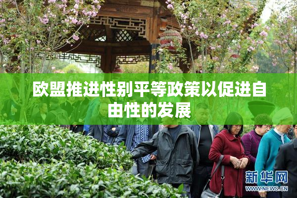 欧盟推进性别平等政策以促进自由性的发展