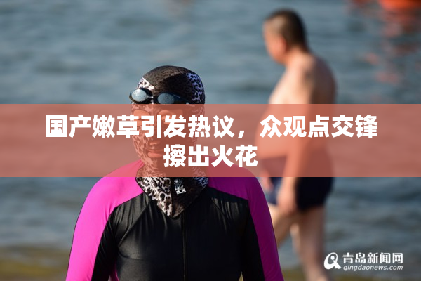 国产嫩草引发热议，众观点交锋擦出火花