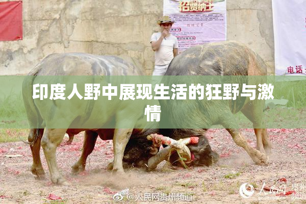 印度人野中展现生活的狂野与激情