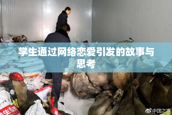 学生通过网络恋爱引发的故事与思考