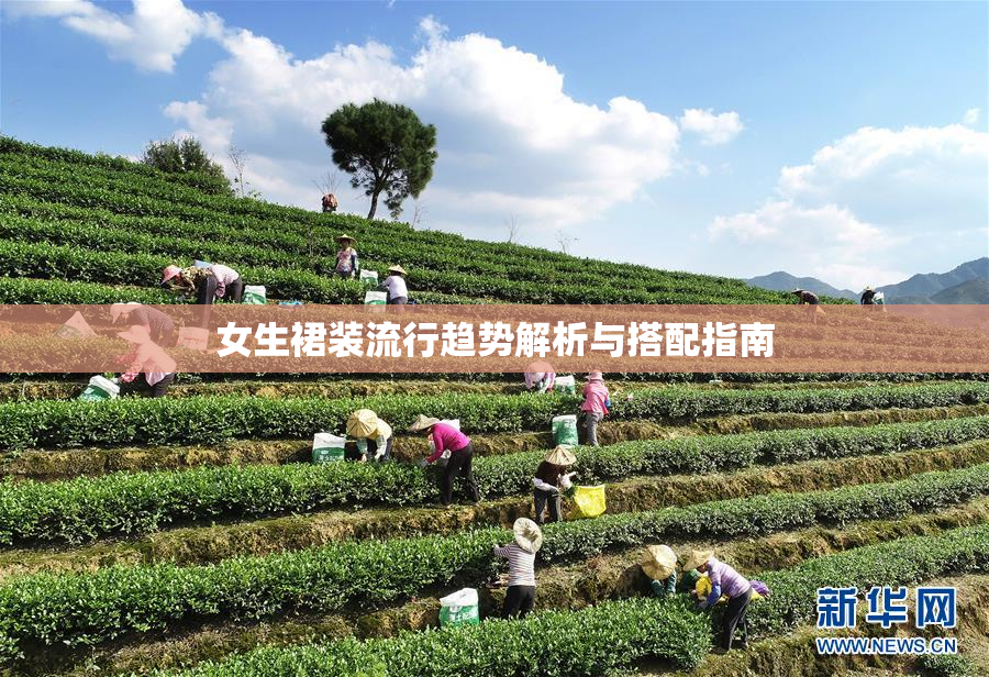 女生裙装流行趋势解析与搭配指南