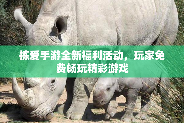 拣爱手游全新福利活动，玩家免费畅玩精彩游戏