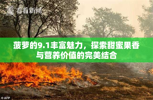 菠萝的9.1丰富魅力，探索甜蜜果香与营养价值的完美结合