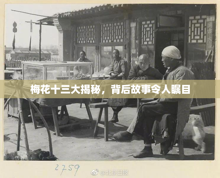 梅花十三大揭秘，背后故事令人瞩目