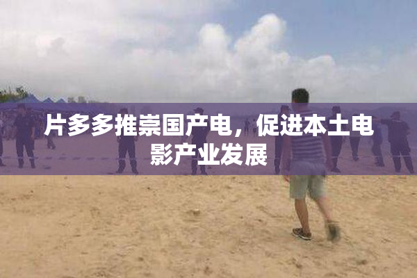 片多多推崇国产电，促进本土电影产业发展