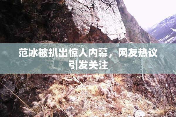 范冰被扒出惊人内幕，网友热议引发关注