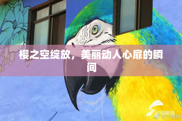 樱之空绽放，美丽动人心扉的瞬间