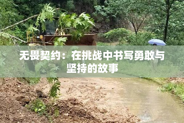 无畏契约：在挑战中书写勇敢与坚持的故事