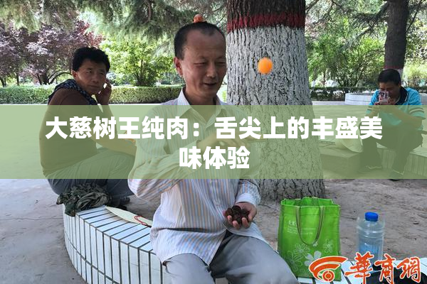 大慈树王纯肉：舌尖上的丰盛美味体验