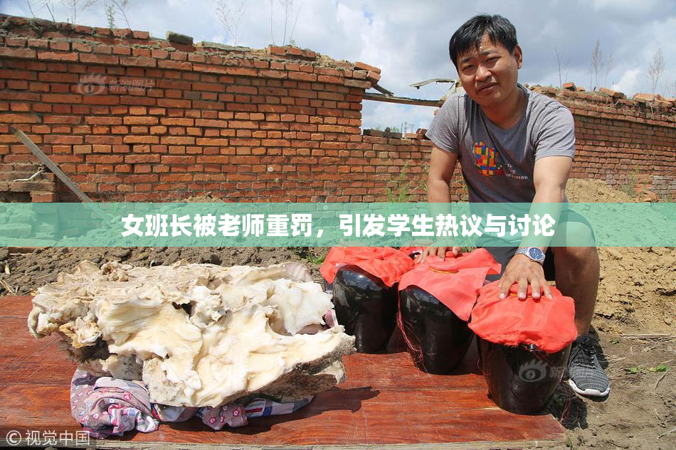 女班长被老师重罚，引发学生热议与讨论