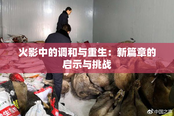 火影中的调和与重生：新篇章的启示与挑战