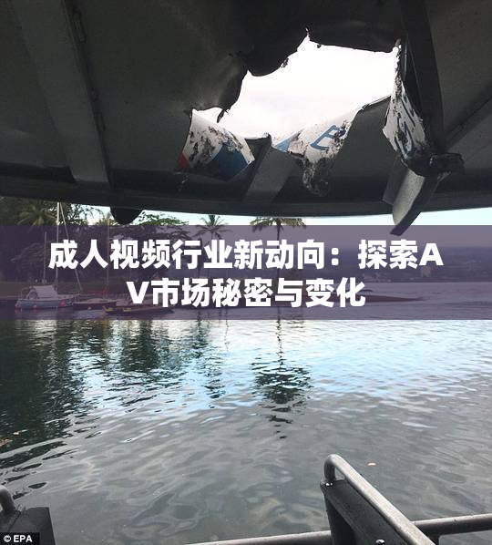 成人视频行业新动向：探索AV市场秘密与变化