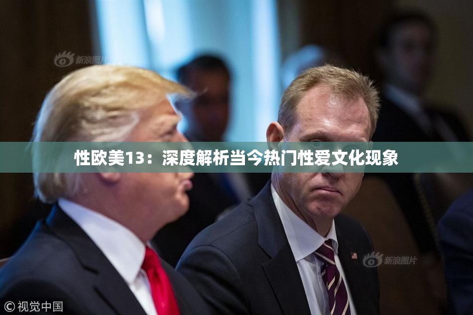 性欧美13：深度解析当今热门性爱文化现象