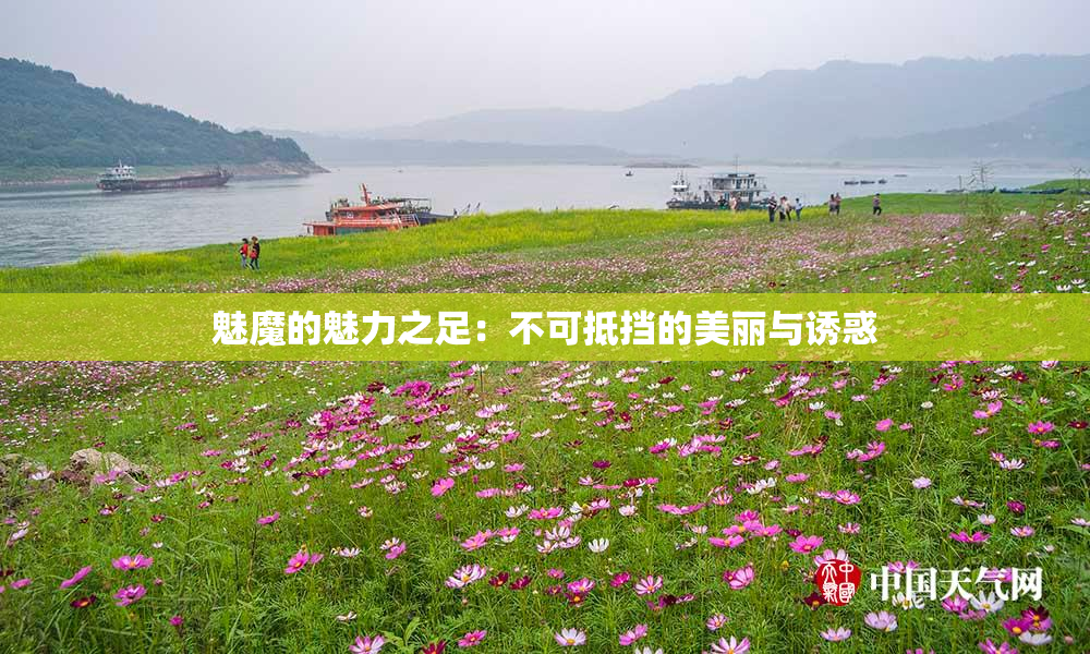 魅魔的魅力之足：不可抵挡的美丽与诱惑