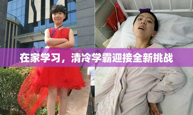 在家学习，清冷学霸迎接全新挑战
