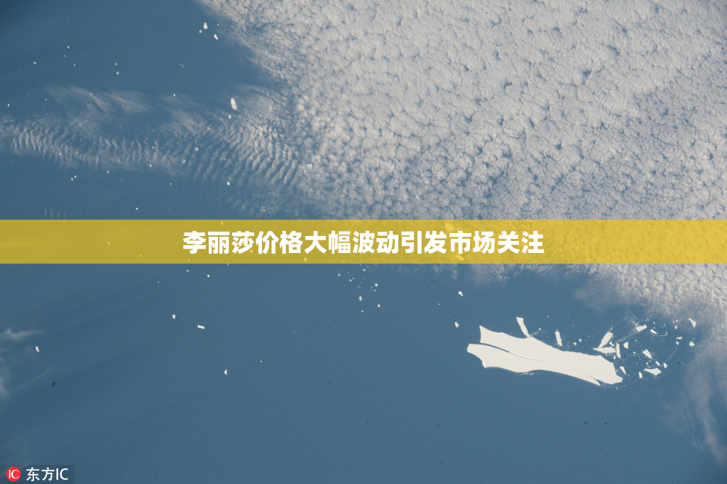 李丽莎价格大幅波动引发市场关注