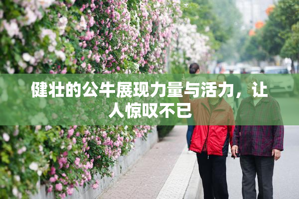 健壮的公牛展现力量与活力，让人惊叹不已