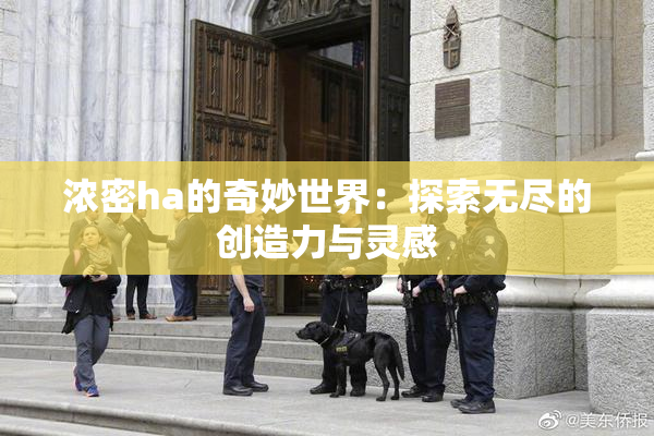 浓密ha的奇妙世界：探索无尽的创造力与灵感