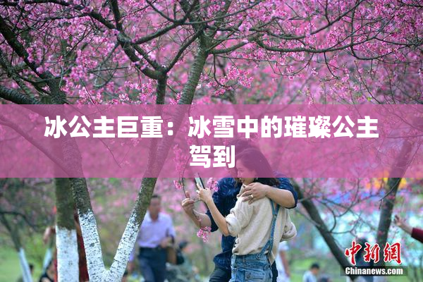 冰公主巨重：冰雪中的璀璨公主驾到
