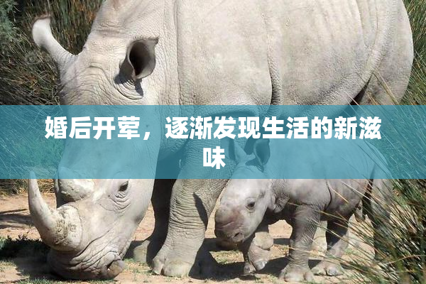 婚后开荤，逐渐发现生活的新滋味