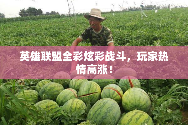 英雄联盟全彩炫彩战斗，玩家热情高涨！