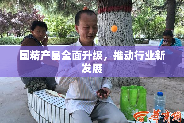 国精产品全面升级，推动行业新发展