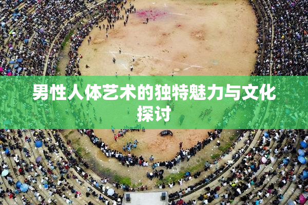 男性人体艺术的独特魅力与文化探讨