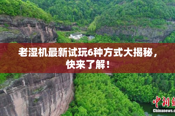 老湿机最新试玩6种方式大揭秘，快来了解！