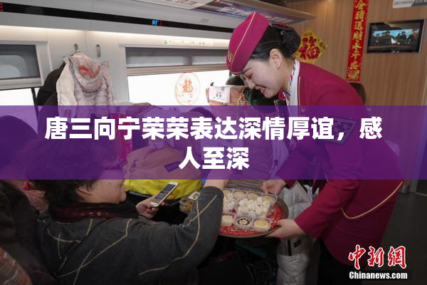 唐三向宁荣荣表达深情厚谊，感人至深