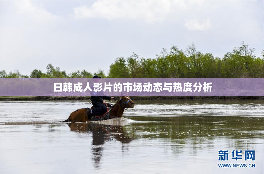 日韩成人影片的市场动态与热度分析