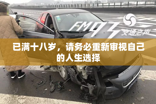 已满十八岁，请务必重新审视自己的人生选择