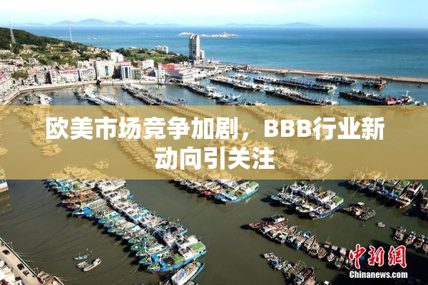 欧美市场竞争加剧，BBB行业新动向引关注