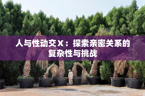 人与性动交Ⅹ：探索亲密关系的复杂性与挑战