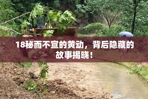 18秘而不宣的黄动，背后隐藏的故事揭晓！
