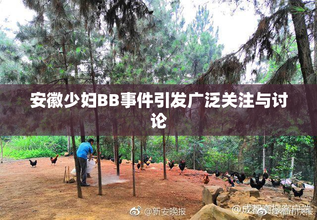 安徽少妇BB事件引发广泛关注与讨论